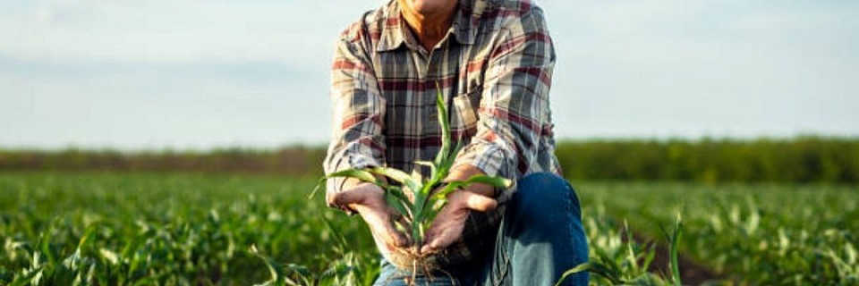 🌾🚜 Welcome to Our Agro-Allied Services&nbsp;