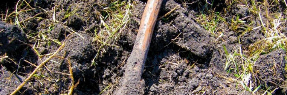 🌾 🌿 Welcome to Pipi Smart Farming. Empowering farmers with technology-driven agricultural solutions for higher yields, precision farming, and sustainable food production.