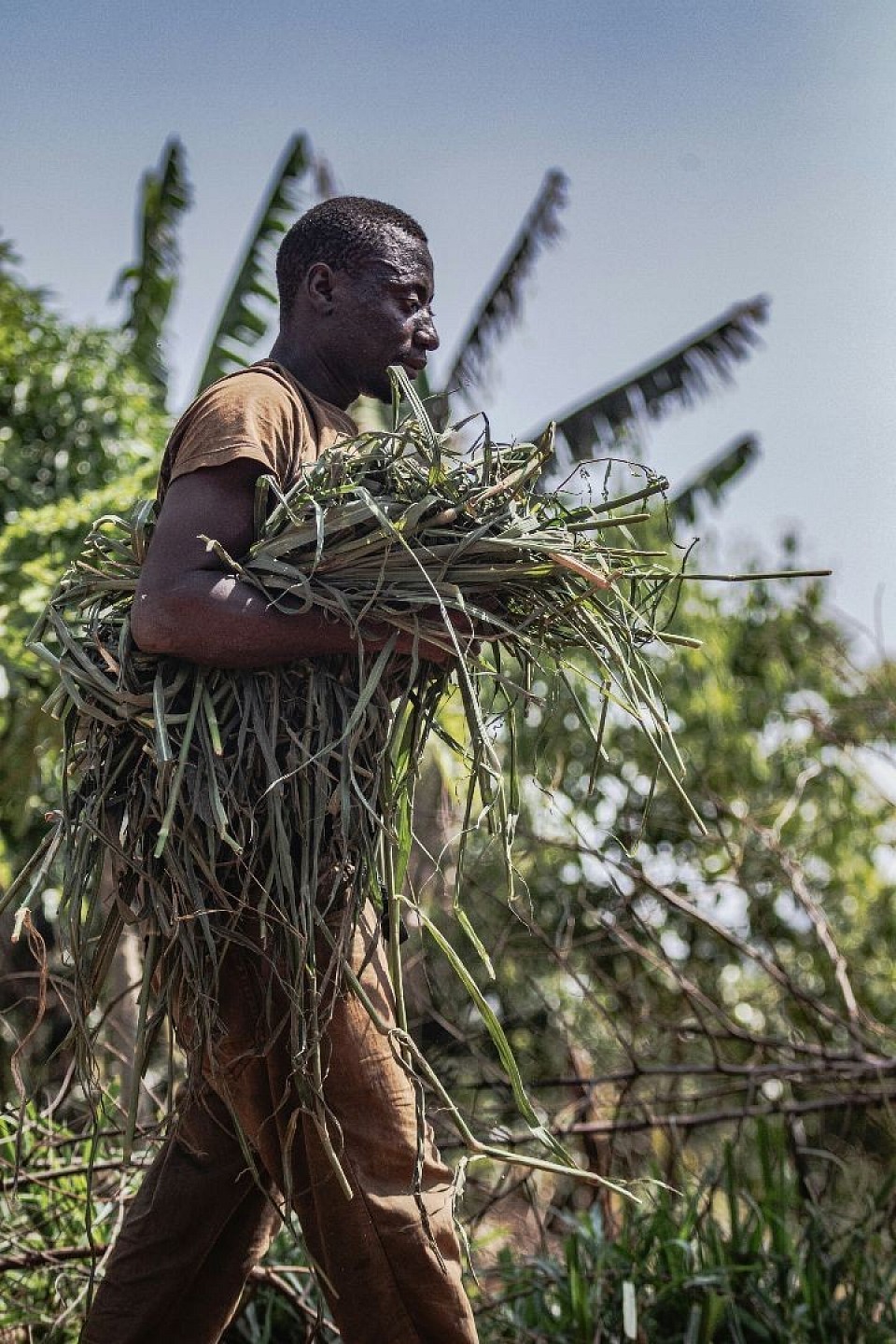 Africa Farmer. Photo Credit: Unsplash