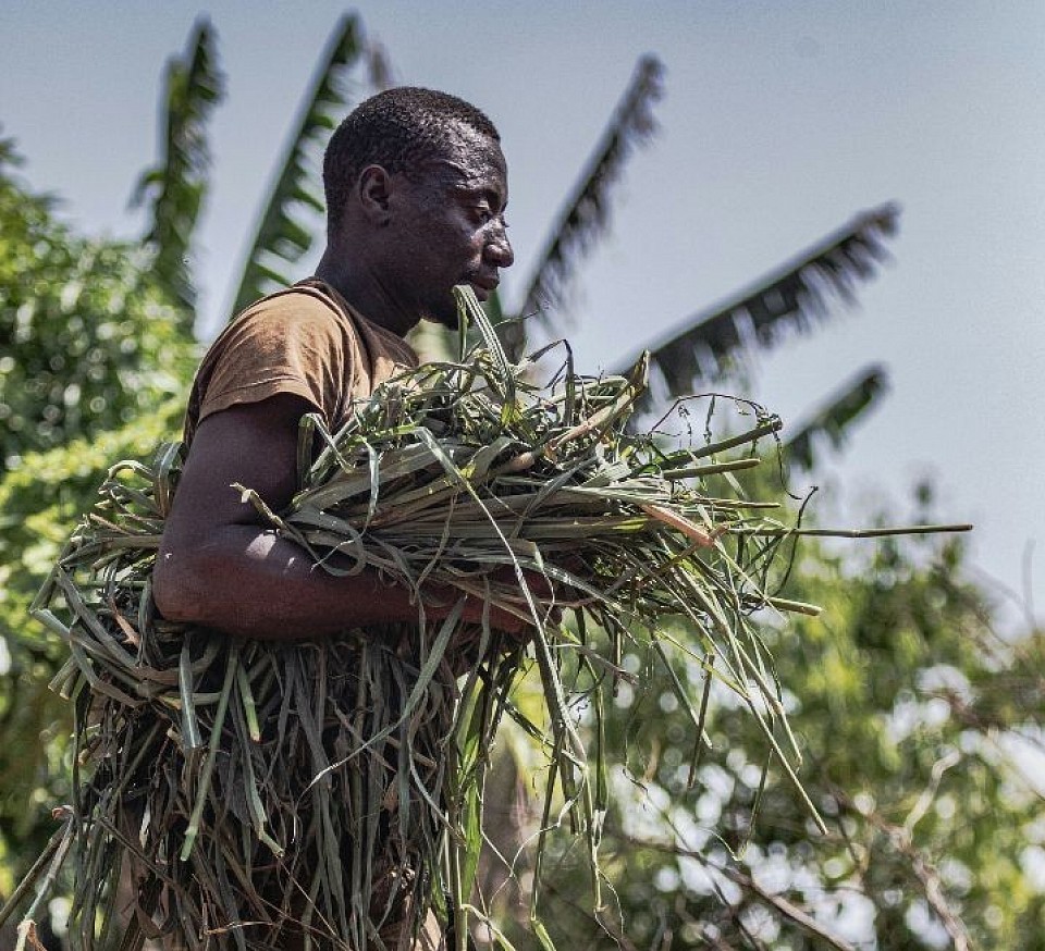 Africa Farmer. Photo Credit: Unsplash