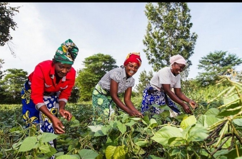 Pipi showcasing Africa Women Smart Farming System. Photo Credit: Unsplash