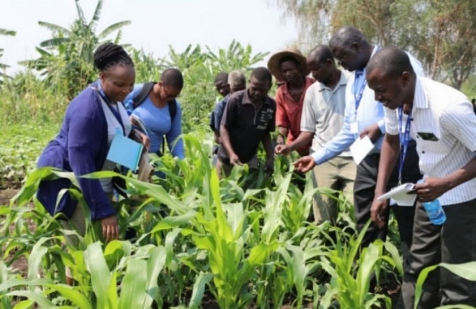 PNL Smart Farming Vision 2040. Illustrative Image from unsplash