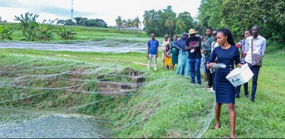 PNL Farming Vision 2040 Visionary Image. This image is from Unsplash