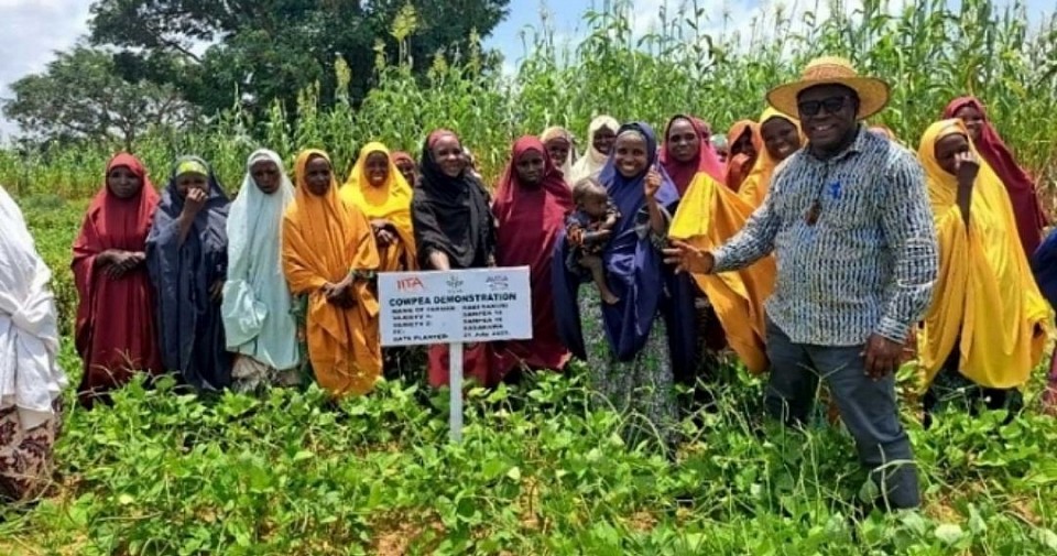 Farming Made Easy In The Future. Visionary Image from unsplash photo