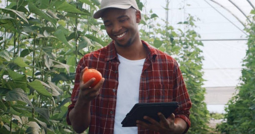 Smart farm