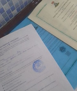Offline Partnership and Company Documents mini view