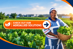 Agriculture. Click on the image to visit our Agro-allied page
